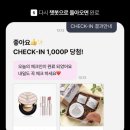 뷰티체크인