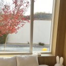 이불 속 댕댕이 | 강릉 자근숩 열매동, 하나부터 열까지 세심했던 감성숙소 프라이빗 강릉키즈풀빌라 후기