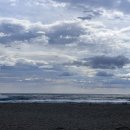 포도나무민박 이미지