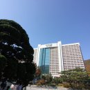 비에이치씨신서 | 홍천 비발디파크 대명리조트 체리동 스위트룸 숙박 후기