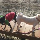 보리콩이네 이미지