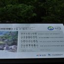 물소리새소리 이미지