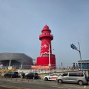 살랑살랑 샤브샤브 | 지금이 제철! 오이도 전통수산시장 알쭈꾸미 샤브샤브 내돈내산 후기(feat. 연화상회, 오이도양념)