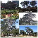 무릉계곡 4호 | 여행의 완성_2020년 1월(Vol. 1)