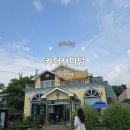 카페새미담 경주 브런치 카페 샐러드김밥세트 먹고 온 후기