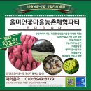 울미연꽃마을 이미지