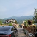 365스마트의원 이미지