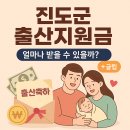 읍사무소 | 진도군 출산지원금, 얼마나 받을 수 있을까? (+꿀팁)