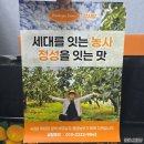 진영농장 | 감사팜 진영단감, 청년농부 장성권의 특별한 배단감 태추단감