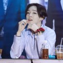 아지&냥이 이미지