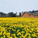 광한루주유소 Daum카페