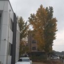 시곡3통경로당 이미지