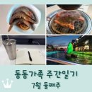 장기동작은도서관 | 동동가족 주간일기 7월 둘째주 / 결혼기념일 / 라베니체 패밀리보트 / 간장새우장 / 올여름 첫빙수