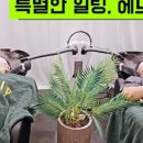 숲칼프두피클리닉탈모두피케어전문 이미지