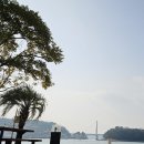 막썰어회 이미지