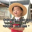 카페단 이미지