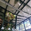 일월초교 | 다낭 시내 여자 혼자 여행 하루 코스 일정 휴식데이