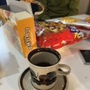 비봉진돗개 이미지