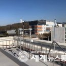 영산면사무소 이미지