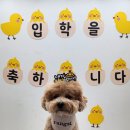 러닝독 스테이 이미지