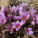 동강농장 이미지