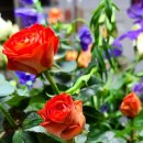 송현농장 이미지