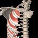 올바른필라테스&PT 이미지