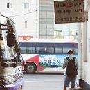 용인대세일태권도 이미지