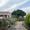 수필하우스 | [제주] 수필하우스 사랑채 - 감성 가득한 구좌 종달리 독채 펜션 2박 3일 내돈내산 후기