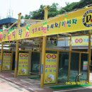 안행주유소 이미지