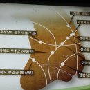 천하명당 이미지