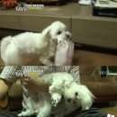 로또농장 이미지