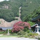 (주)영동 이미지