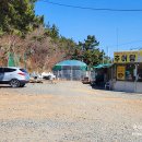연평도 충민사(임경업사당) | 황금산 등산코스와 코끼리바위까지의 소요시간과 난이도 정리!