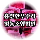철원와사비영농조합법인 | 수타사 맛집 동생과 입안에서 살살 녹는 한우꽃갈비에 반한 홍천한우수라
