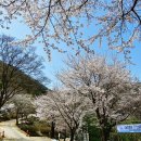 휴양림 관리사무소 화장실 이미지