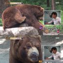 신의한수농장 이미지