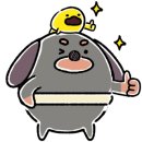 더드림PT 이미지