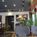 파페모에 이미지