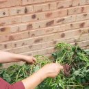 한들농산 이미지