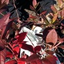 송연농장 이미지