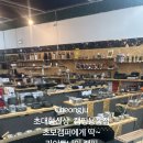 라이트나인캠핑아웃도어