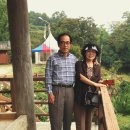 비산고가 아래 이미지