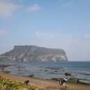 다시오다스테이 | 제주 동쪽 여행 &amp; 가볼만한곳 카페아오오, 벵가스테이, 교래흑돼지, 청해원, 광치기해변