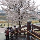 4월 1일(679회) 송정벚꽃길-장안벚꽃길-석계벚꽃길-우이천벚꽃길-보광사를 걸은 흔적입니다.. 이미지
