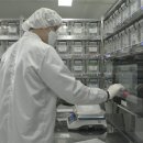 한국한약 이미지