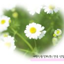 새한새마을금고 이미지