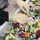 한솔장례식장 이미지