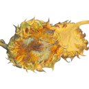 서울양남초등학교 이미지