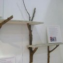 청신목장 이미지